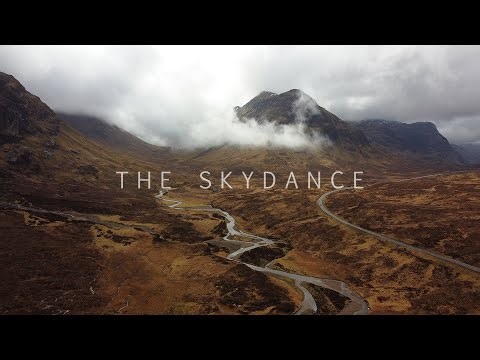 Hen Harrier Skydance | Scotland