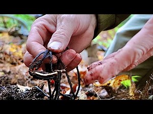 Right away I was finding things metal detecting this place some under rocks !