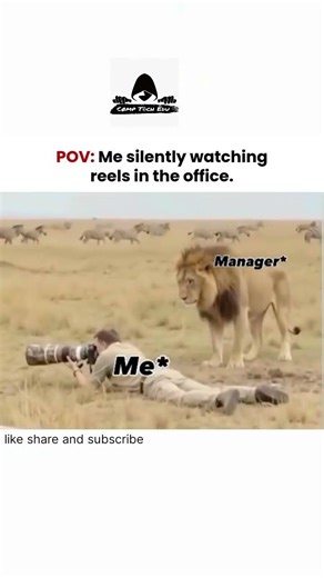 Manager | programmers life | chatgpt #programmerslife #programmerlife #chatgpt #virqlshorts #manager