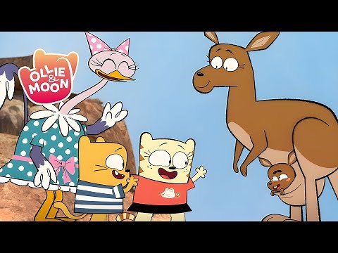 On the Kangaroo Trail! 🦘🔍 | Ollie and Moon English | Full Episodes | 1H | S1 | Cartoons for kids
