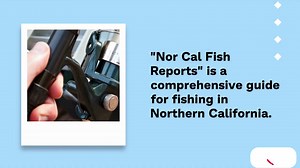 Nor Cal Fish Reports