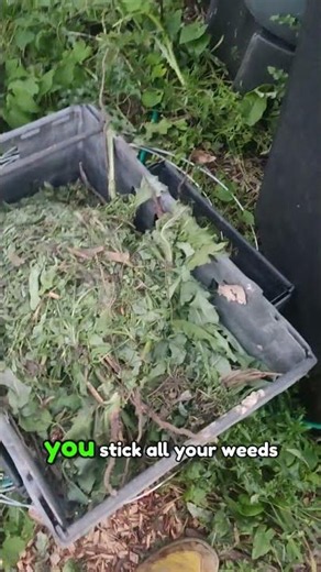 HotBin composter is HOT! Over 120°f!!