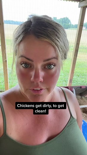 DIY Chicken Dust Bath: Easy Recipe & Tips