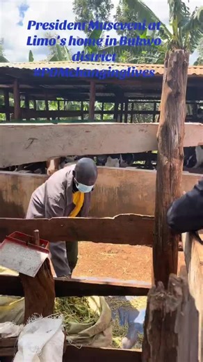 PDM is changing in sebei region #presidentmuseveni#foryoupage#ugandatiktok#PDMtour