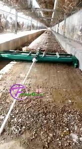 4.3K views · 76 shares | MANURE SCRAPER Are you tired of manual...