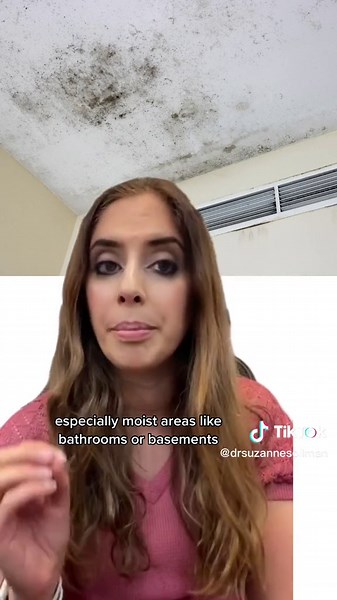 Understanding the Differences: Mold Vs. Mildew Explained