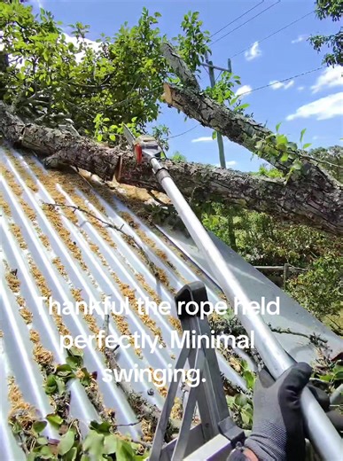 Tips for Using a Rope Safely in Tree Work