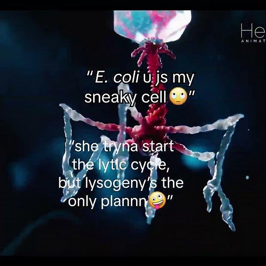 Bacteriophage Phage Therapy Edit