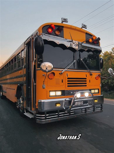 Chulada de Blue Bird TC 💛🔥 #buses #🇸🇻 #fyp #viralvideos #elsalvador