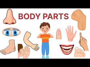 "Learn Body Parts for Kids | Easy & Fun Learning with best Examples!"#kids