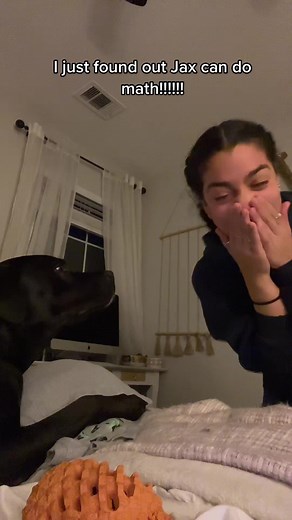 I’m actually in shock right now…. #dog #dogcandomath #dogmom #smarthdog