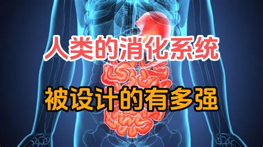 人类的消化系统被设计的有多强？