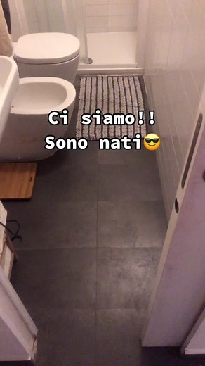 SONO NATI🥳!#nature #bird #merlo