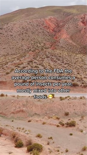 Hilarious Job Interview Fails 😂 | Worst & Funniest Moments