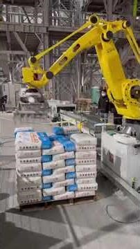 Robotic palletizer #machine