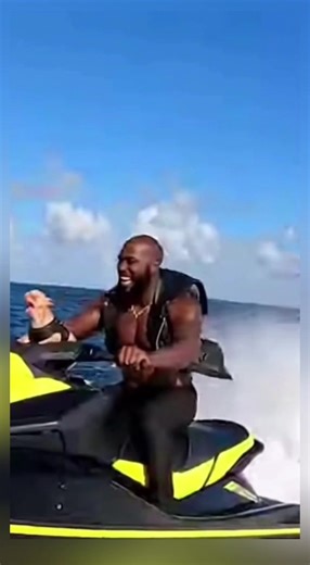 Video của 😂 Daily Pet Memes 😂 (@meme_programmer) với bản nhạc original sound - rz09_