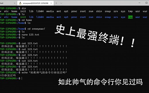 新版windows终端竟然如此强大与帅气，windows terminal 1.0安装教程