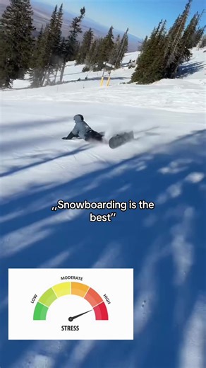 Snowboarding: The Ultimate Stress Reliever
