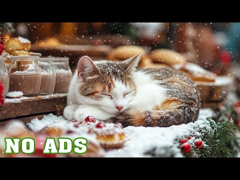 12 Hours Relaxing Melodies for Cats 🐾 Calm Sleep Music - Cat TV | Dreamy Night ☁️