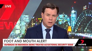 New vision shows Sydney emergency departments are beginning to resemble our airports with patients camping out as they wait for treatment in this new COVID wave. Virus cases in the nation's hospitals are nudging record levels, but there is some good news in the latest numbers. The latest research suggests the more symptoms that you experience when you contract COVID - like fever, cough, fatigue, sore throat or headache - the more your chance of developing long COVID especially if you have more t
