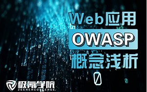 大白话详细讲解使用Web应用分析OWASP中的ZAP