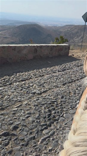 Exploring Mexico: Top Vacation Destinations with Horses