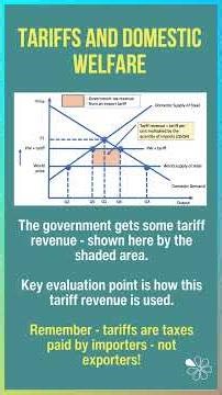 Tariffs Explained: Deadweight Welfare Loss I 60 Second Economics