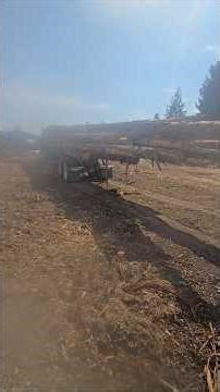 self loading log truck hauling cedar poles. #idaho #trucking #logtruck #gypo