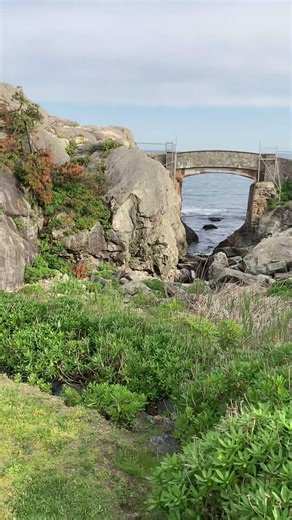 A secret treasure hidden in Newport that is open to the public and accessible to everyone.💜#newport