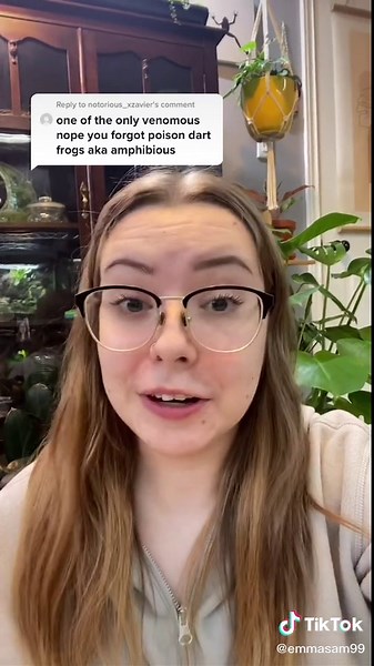 Venom vs Poison: Understanding the Difference