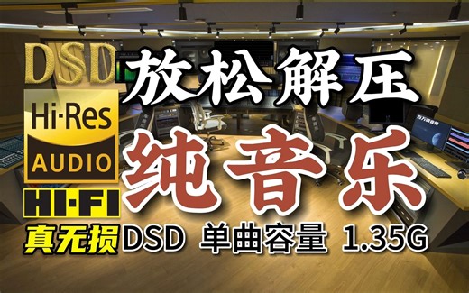 纯音乐，放松解压！DSD完整版，单曲容量1.35G，百万调音师专业制作，顶级无损HIFI音乐及伴奏