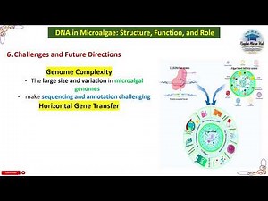Challenges and Future Directions, Emerging Trends in Microbiology #trending #microbiology #lecture