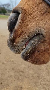 Ruby and that nose! | Our Mims Retirement Haven