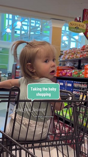 Layla the Boxer (@_layla_the_boxer) - Funny Dog Shopping Adventure with Mama