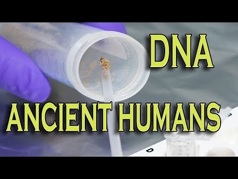 Mudfossil DNA Certified by Harvard and Max Planck Universities
