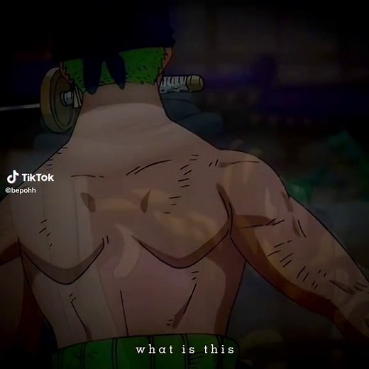 Is Zoro's Father Revealed in One Piece?