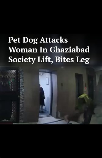 2.1M views · 11K reactions | Pet Dog Attacks Woman In Ghaziabad Society Lift, Bites Leg | NDTV | Facebook