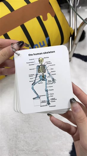 Essential Anatomy Resources for Nursing Students