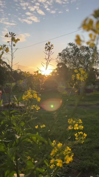 Now and Forever: M83 Lyrics Exploration