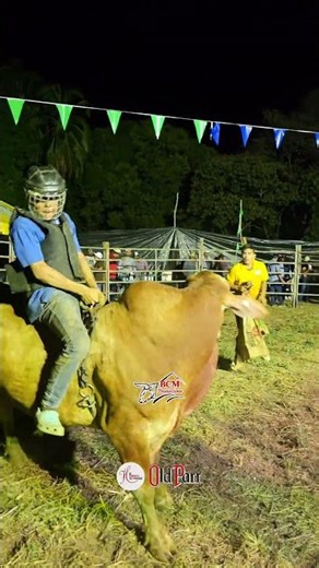 Bull Riding BCMPRODUCCIONES LOS#1 #breakingborders Subscribe on YouTube, Instagram and Facebook
