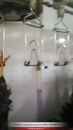 High efficient poultry slaughterhouse abattoir chicken automatic slaughtering line equipment