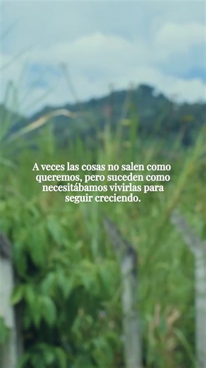 Para seguir creciendo y avanzando. | Serendipia