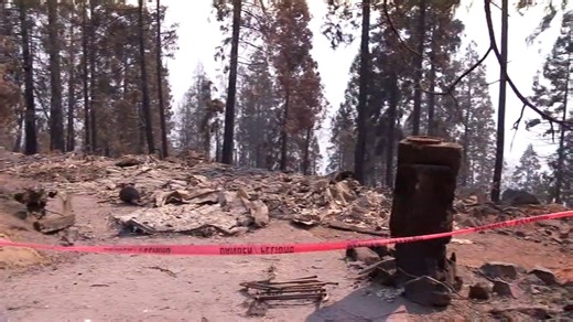 SQF Complex Fire reaches 100% containment, forest officials say