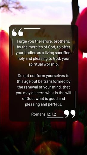 yet not i but through christ in me lyrics #instagram #jesussongs #ytshorts #biblestudy #bibleverse