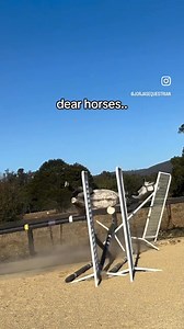 3.5K views · 18 reactions | Oopsy | Snaffle-it Horse Supplies | Facebook