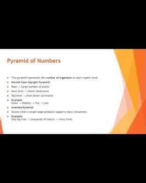 Ecological Pyramids Explained | Types, Structure & Examples | Ecology for UGC NET | StudyPulseHub