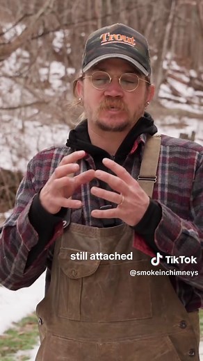 The Life Cycle of Trout: From Egg to Fry