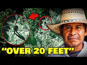 Saw a 20 Foot Tall Giant in Mexico" (Real Nephilim Giant Sightings)