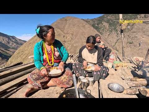 Mountain Seasonal Survival || lajimbudha ||