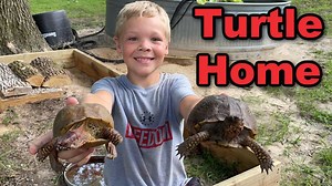 106K views · 7.7K reactions | Building Box Turtles a New Outdoor Home AFH T-Shirts, Hoodies, and Hats! https://www.armsfamilyhomestead.com Follow us on Facebook.https://www.facebook.com/armsfamilyhomestead/ Instagram https://www.instagram.com/arms_family_homestead_official/ Pinterest https://www.pinterest.com/ArmsHomestead/ Arms Family Homestead PO Box 167 Sulphur, Ok 73086 | Arms Family Homestead | Facebook